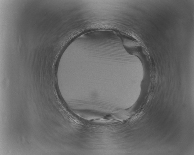 X0000051240673200507082125