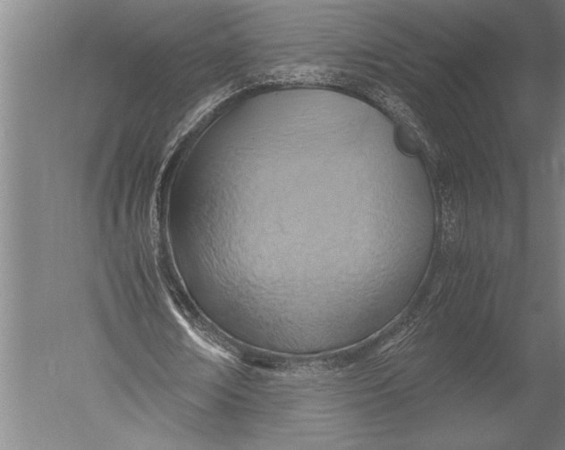 X0000051240674200507082125