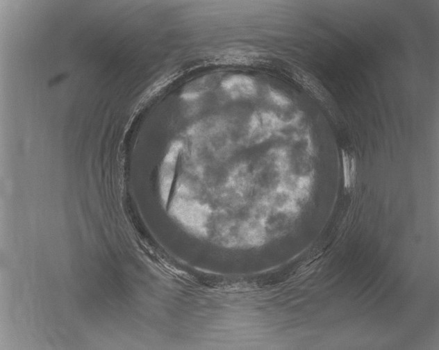 X0000051240675200507082125