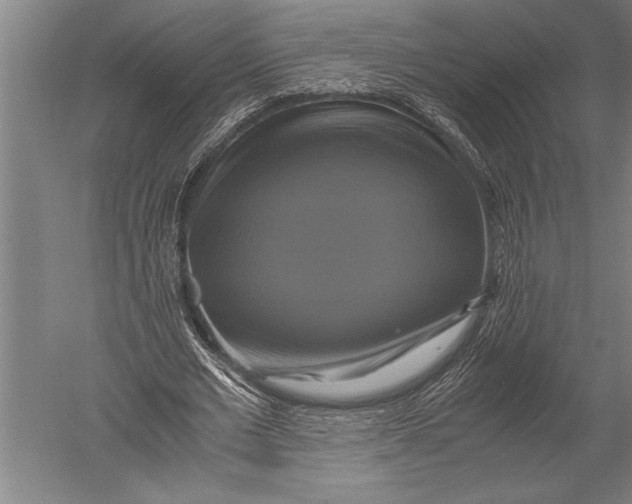 X0000051240677200507082125