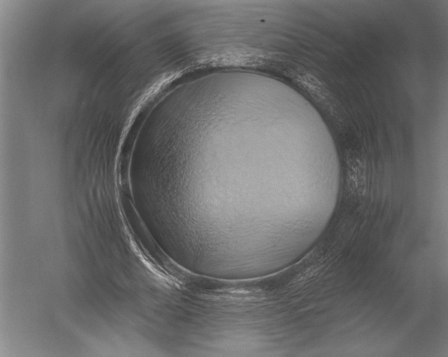 X0000051240678200507082125