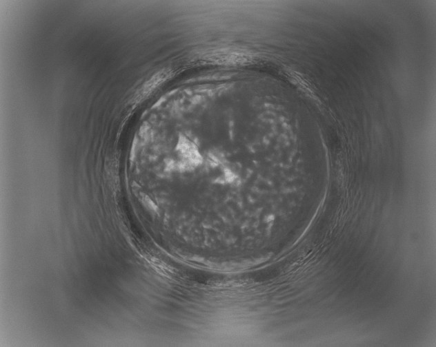 X0000051240679200507082125