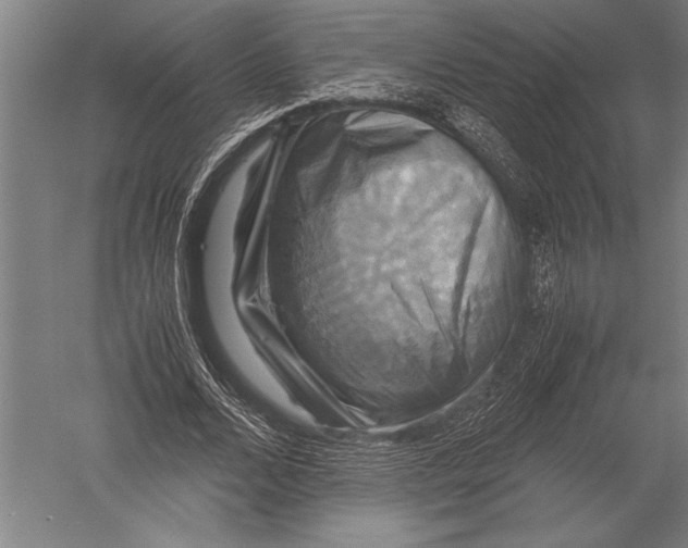 X0000051240680200507082125