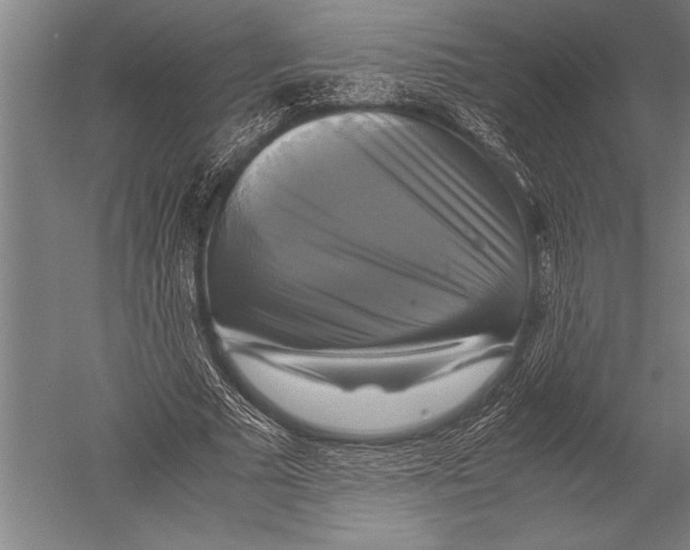 X0000051240681200507082125