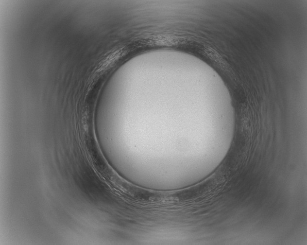 X0000051240683200507082125