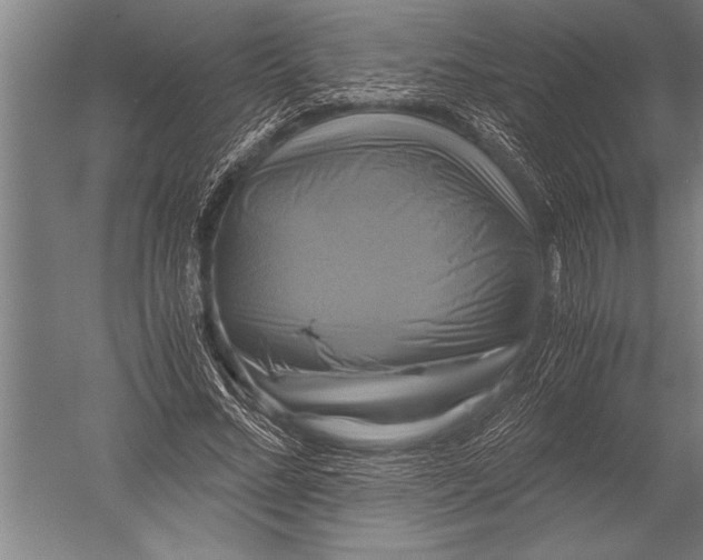 X0000051240684200507082125