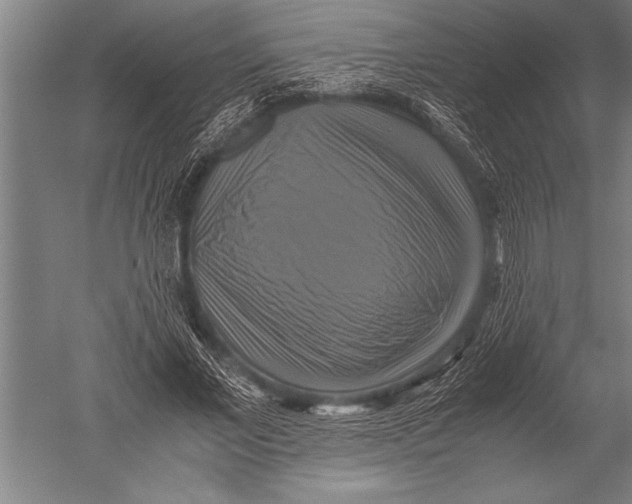 X0000051240685200507082125