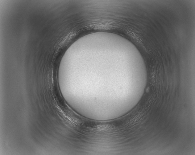 X0000051240686200507082125