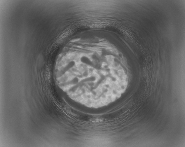 X0000051240687200507082125