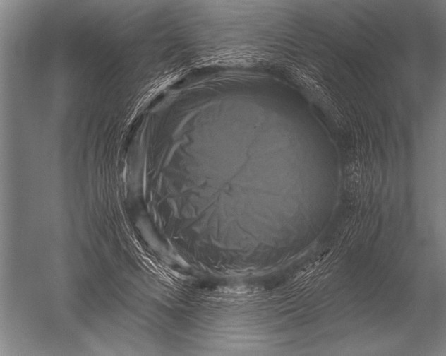 X0000051240688200507082125