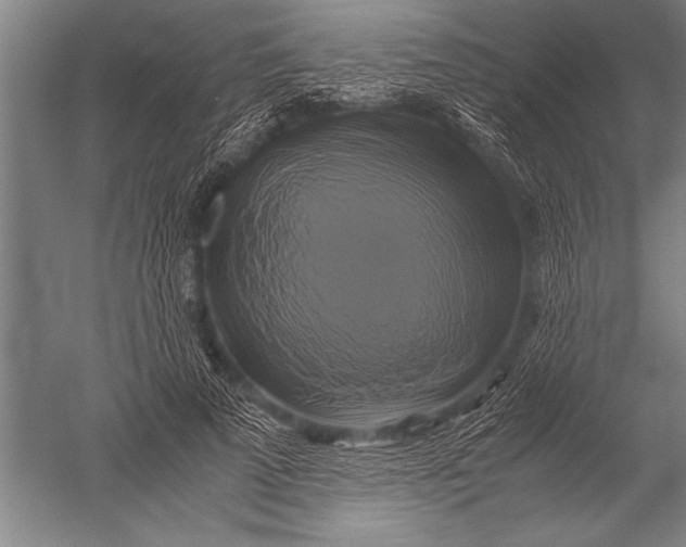 X0000051240689200507082124