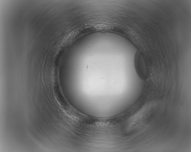 X0000051240690200507082124