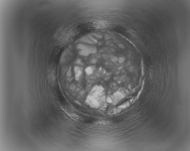 X0000051240691200507082124