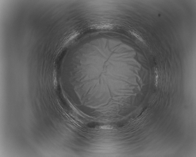 X0000051240692200507082124