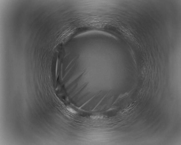 X0000051240693200507082124