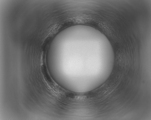 X0000051240694200507082124