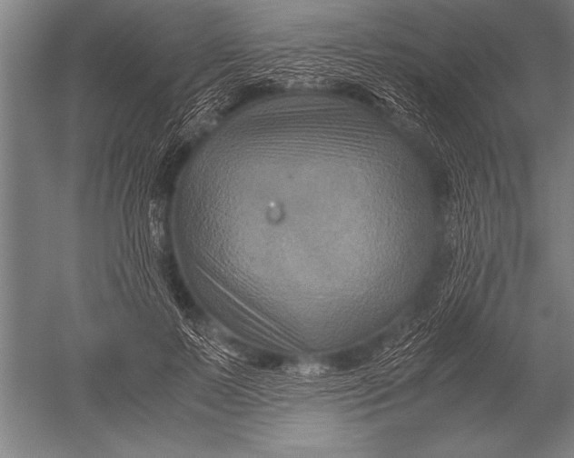 X0000051240695200507082124