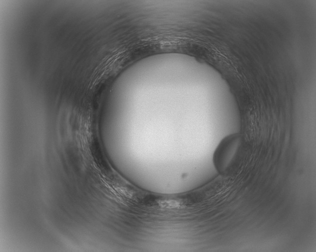 X0000051240698200507082124