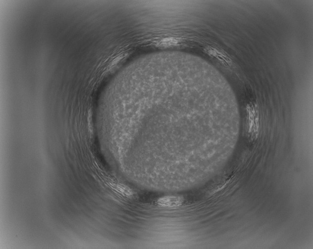 X0000051240700200507082124