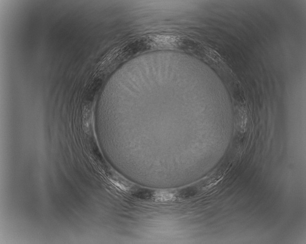 X0000051240701200507082124