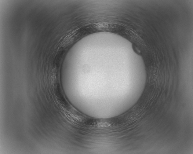 X0000051240702200507082124