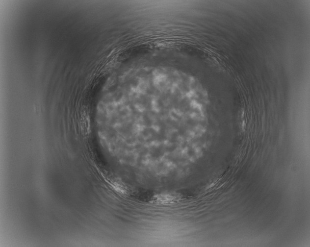 X0000051240703200507082124