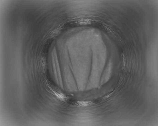 X0000051240704200507082124