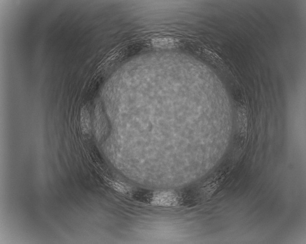 X0000051240705200507082124