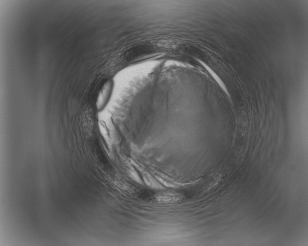 X0000051240707200507082124