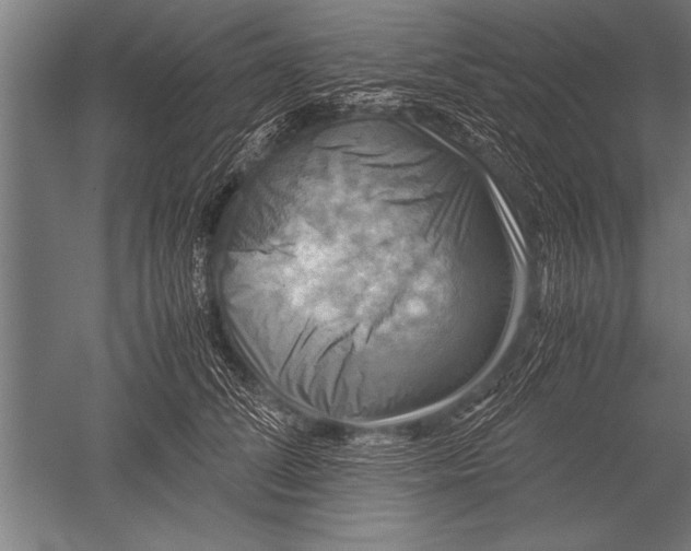 X0000051240708200507082124