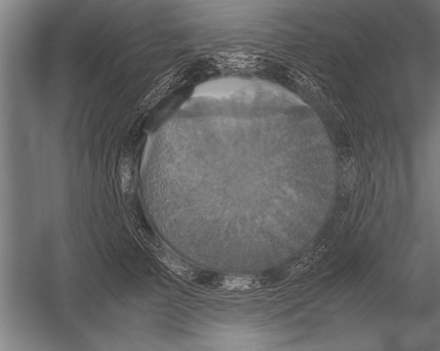 X0000051240709200507082124