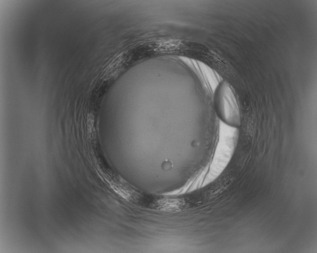 X0000051240711200507082124