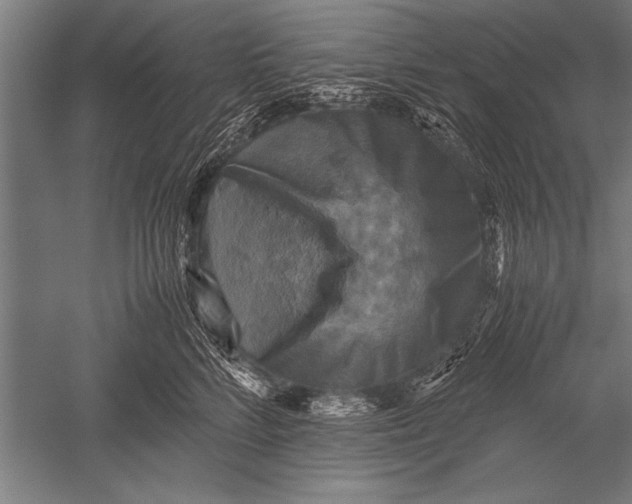 X0000051240712200507082124