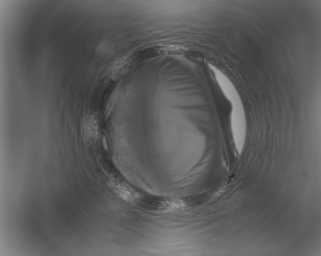 X0000051240715200507082124