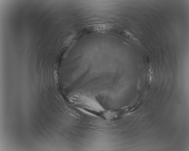 X0000051240716200507082124