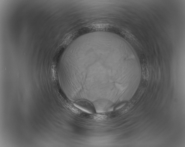 X0000051240718200507082124