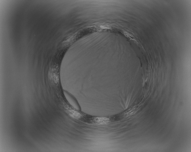 X0000051240719200507082124