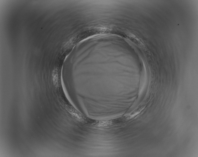 X0000051240720200507082124