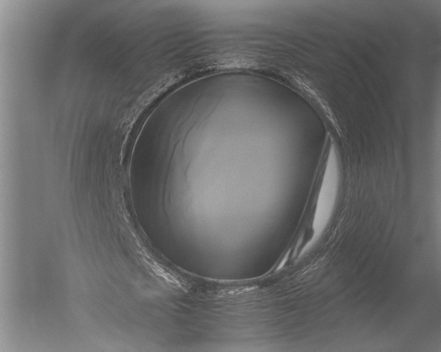 X0000051240721200507082123