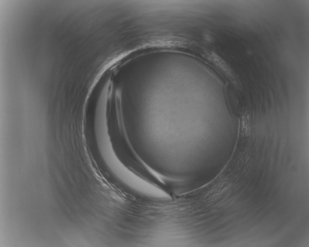 X0000051240724200507082123