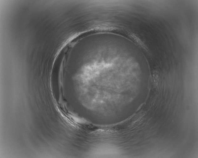 X0000051240726200507082123