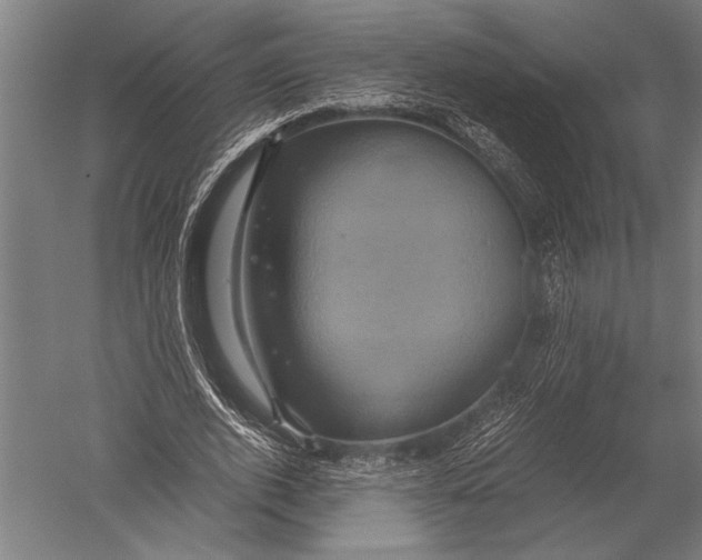 X0000051240728200507082123