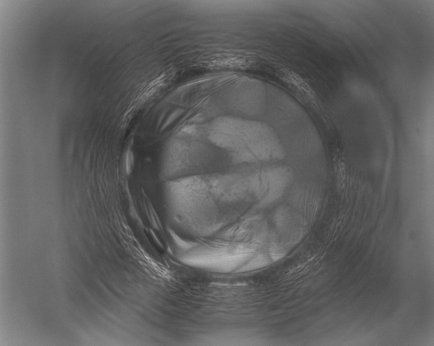 X0000051240729200507082123