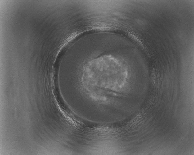 X0000051240730200507082123