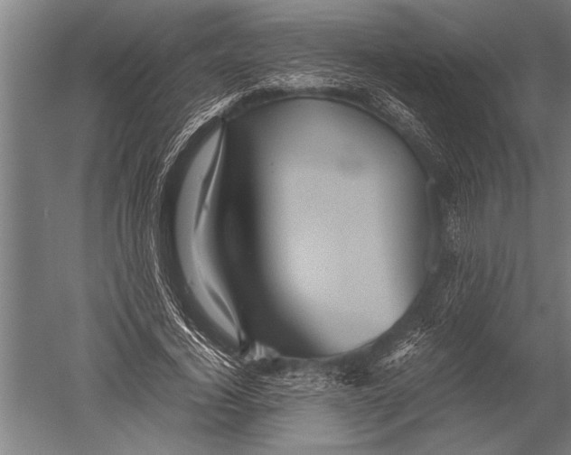 X0000051240732200507082123