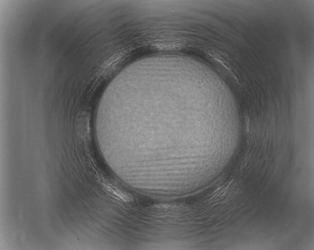 X0000051240733200507082123