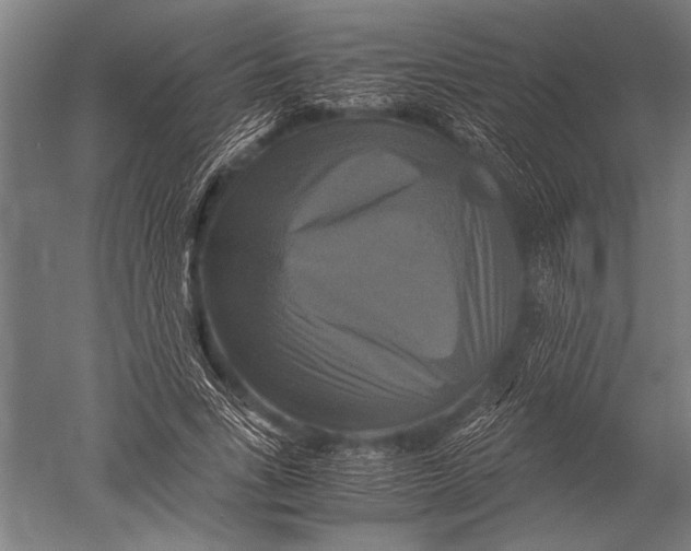 X0000051240735200507082123