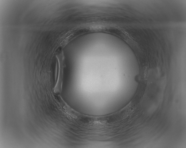 X0000051240737200507082123