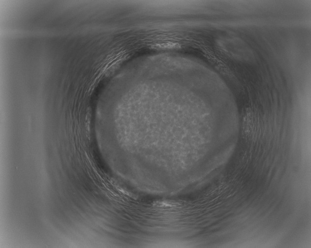 X0000051240739200507082123