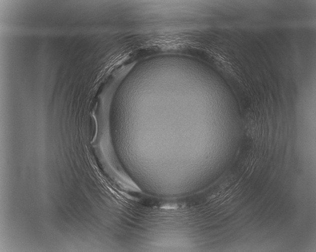 X0000051240740200507082123